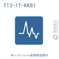 T13-1T-KK81+